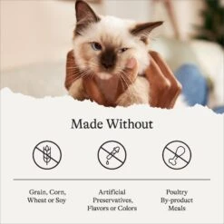 American Journey Kitten Chicken Recipe Grain-Free Dry Cat Food, 5-lb Bag 17 American Journey Kitten Chicken Recipe Grain-Free Dry Cat Food, 5-lb Bag -Blue Buffalo Shop 243722 PT6. AC SS1800 V1680787128