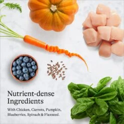 American Journey Indoor Recipe With Chicken Grain-Free Dry Cat Food, 12-lb Bag 16 American Journey Indoor Recipe With Chicken Grain-Free Dry Cat Food, 12-lb Bag -Blue Buffalo Shop 243724 PT5. AC SS1800 V1680787074