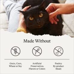 American Journey Indoor Recipe With Chicken Grain-Free Dry Cat Food, 12-lb Bag 17 American Journey Indoor Recipe With Chicken Grain-Free Dry Cat Food, 12-lb Bag -Blue Buffalo Shop 243724 PT6. AC SS1800 V1680787062