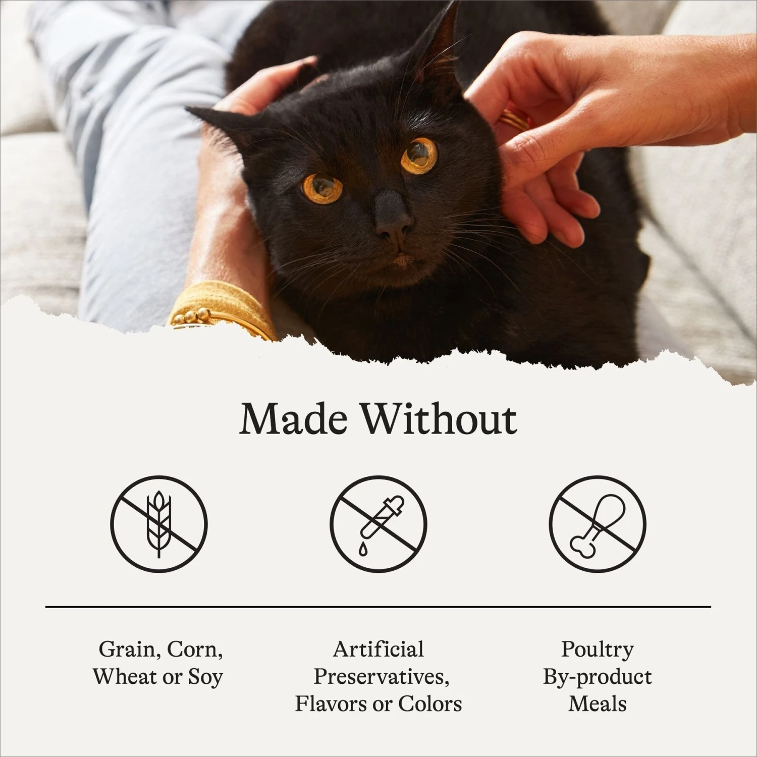 American Journey Indoor Recipe With Chicken Grain-Free Dry Cat Food, 12-lb Bag 9 American Journey Indoor Recipe With Chicken Grain-Free Dry Cat Food, 12-lb Bag - Image 7