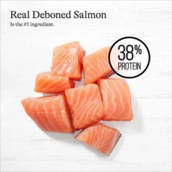 American Journey Indoor Recipe With Salmon Grain-Free Dry Cat Food, 12-lb Bag 14 American Journey Indoor Recipe With Salmon Grain-Free Dry Cat Food, 12-lb Bag -Blue Buffalo Shop 243726 PT3. AC SS1800 V1668736316