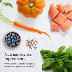 American Journey Indoor Recipe With Salmon Grain-Free Dry Cat Food, 12-lb Bag 16 American Journey Indoor Recipe With Salmon Grain-Free Dry Cat Food, 12-lb Bag -Blue Buffalo Shop 243726 PT5. AC SS1800 V1680787130