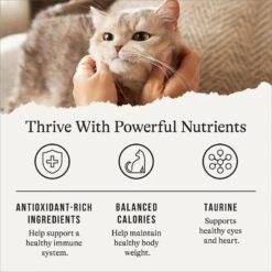 American Journey Indoor Recipe With Turkey & Chicken Grain-Free Dry Cat Food, 12-lb Bag -Blue Buffalo Shop 243728 PT4. AC SS1800 V1668736314