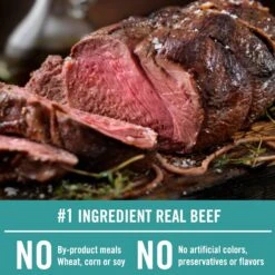 Chicken Soup For The Soul Beef & Legumes Recipe Grain-Free Dry Dog Food -Blue Buffalo Shop 244605 PT2. AC SS1800 V1596205867