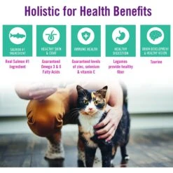 Chicken Soup For The Soul Salmon & Legumes Recipe Grain-Free Dry Cat Food -Blue Buffalo Shop 244610 PT5. AC SS1800 V1596123668