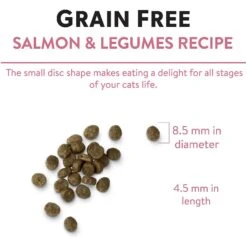 Chicken Soup For The Soul Salmon & Legumes Recipe Grain-Free Dry Cat Food -Blue Buffalo Shop 244610 PT6. AC SS1800 V1596222369