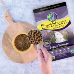 Earthborn Holistic Puppy Vantage Dry Dog Food 14 Earthborn Holistic Puppy Vantage Dry Dog Food -Blue Buffalo Shop 247175 PT3. AC SS1800 V1612400177