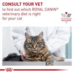 Royal Canin Veterinary Diet Adult Selected Protein PD Loaf Canned Cat Food -Blue Buffalo Shop 247908 PT7. AC SS1800 V1695135368