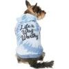 Frisco Life Is Wag Worthy Tiedye Print Dog & Cat Hoodie -Blue Buffalo Shop 249094 MAIN. AC SS1800 V1614362076