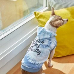 Frisco Life Is Wag Worthy Tiedye Print Dog & Cat Hoodie -Blue Buffalo Shop 249094 PT7. AC SS1800 V1614362017