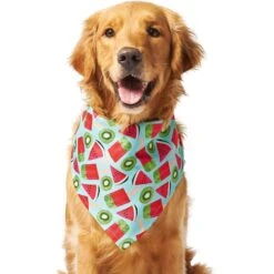 Frisco Fruity Summer Dog & Cat Bandana -Blue Buffalo Shop 249204 PT2. AC SS1800 V1637644629