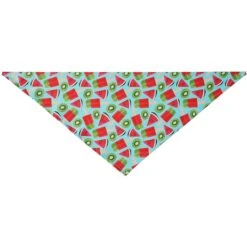 Frisco Fruity Summer Dog & Cat Bandana -Blue Buffalo Shop 249204 PT3. AC SS1800 V1637727991