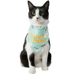 Frisco Brunch Please Dog & Cat Bandana 12 Frisco Brunch Please Dog & Cat Bandana -Blue Buffalo Shop 249207 PT2. AC SS1800 V1696597732