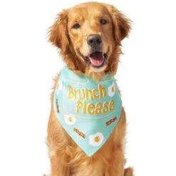 Frisco Brunch Please Dog & Cat Bandana 13 Frisco Brunch Please Dog & Cat Bandana -Blue Buffalo Shop 249207 PT3. AC SS1800 V1696597730