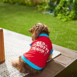 Frisco Red, White & Boop Dog & Cat T-Shirt 15 Frisco Red, White & Boop Dog & Cat T-Shirt -Blue Buffalo Shop 249242 PT7. AC SS1800 V1614368539