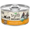 Purina Beyond High Protein Organic Chicken & Carrot Recipe Wet Cat Food, 3-oz Can, Case Of 12 -Blue Buffalo Shop 252852 MAIN. AC SS1800 V1700159359