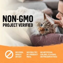 Purina Beyond High Protein Organic Chicken & Carrot Recipe Wet Cat Food, 3-oz Can, Case Of 12 18 Purina Beyond High Protein Organic Chicken & Carrot Recipe Wet Cat Food, 3-oz Can, Case Of 12 -Blue Buffalo Shop 252852 PT7. AC SS1800 V1700160140