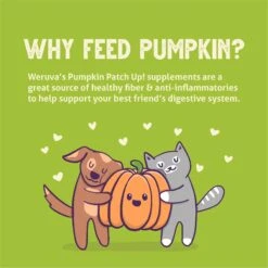 Weruva Pumpkin Patch Up! Pumpkin With Ginger & Turmeric Dog & Cat Wet Food Supplement -Blue Buffalo Shop 252854 PT5. AC SS1800 V1600397173