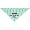 Frisco Big Brother Personalized Dog & Cat Bandana -Blue Buffalo Shop 254231 MAIN. AC SS1800 V1633064216