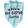 Frisco Big Sister Personalized Dog & Cat Bandana -Blue Buffalo Shop 254235 MAIN. AC SS1800 V1619559736