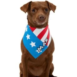 Frisco Americana Personalized Dog & Cat Bandana -Blue Buffalo Shop 254239 PT6. AC SS1800 V1619558231