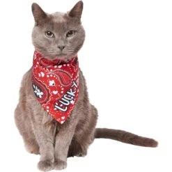 Frisco Paisley Printed Personalized Dog & Cat Bandana -Blue Buffalo Shop 254247 PT7. AC SS1800 V1618508211