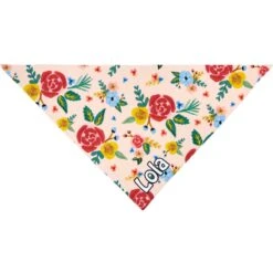 Frisco Floral Personalized Dog & Cat Bandana -Blue Buffalo Shop 254255 PT3. AC SS1800 V1618511861
