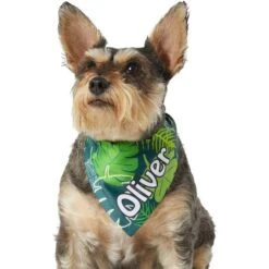Frisco Tropical Palms Personalized Dog & Cat Bandana -Blue Buffalo Shop 254259 PT6. AC SS1800 V1632425201