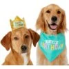 Frisco Happy Birthday Dog & Cat Crown & Frisco Dog & Cat Birthday Bandana -Blue Buffalo Shop 255523 MAIN. AC SS1800 V1603716093