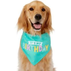 Frisco Happy Birthday Dog & Cat Crown & Frisco Dog & Cat Birthday Bandana -Blue Buffalo Shop 255523 PT3. AC SS1800 V1603716114