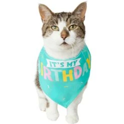 Frisco Happy Birthday Dog & Cat Crown & Frisco Dog & Cat Birthday Bandana -Blue Buffalo Shop 255523 PT4. AC SS1800 V1603716120