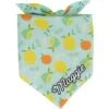 Frisco Citrus Personalized Dog & Cat Bandana -Blue Buffalo Shop 258758 MAIN. AC SS1800 V1619558872