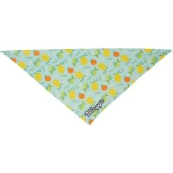 Frisco Citrus Personalized Dog & Cat Bandana 14 Frisco Citrus Personalized Dog & Cat Bandana -Blue Buffalo Shop 258758 PT3. AC SS1800 V1619559797