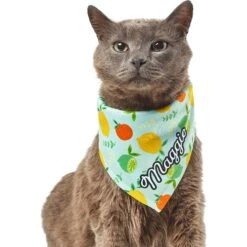 Frisco Citrus Personalized Dog & Cat Bandana 18 Frisco Citrus Personalized Dog & Cat Bandana -Blue Buffalo Shop 258758 PT7. AC SS1800 V1619560408