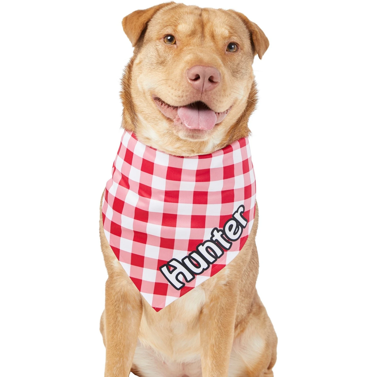 Frisco Gingham Personalized Dog & Cat Bandana 9 Frisco Gingham Personalized Dog & Cat Bandana - Image 7