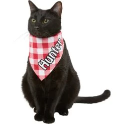 Frisco Gingham Personalized Dog & Cat Bandana 18 Frisco Gingham Personalized Dog & Cat Bandana -Blue Buffalo Shop 258775 PT7. AC SS1800 V1619558565