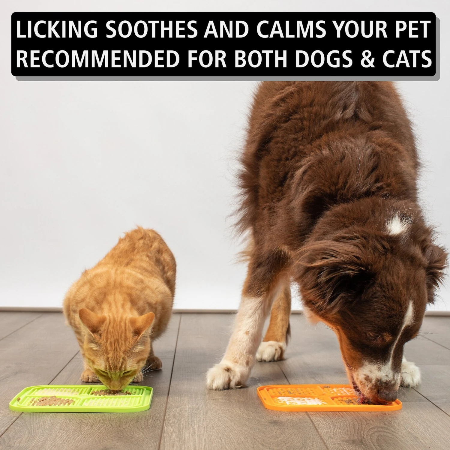 Hyper Pet IQ Rewards Cat & Dog Slow Feeder 5 Hyper Pet IQ Rewards Cat & Dog Slow Feeder - Image 3