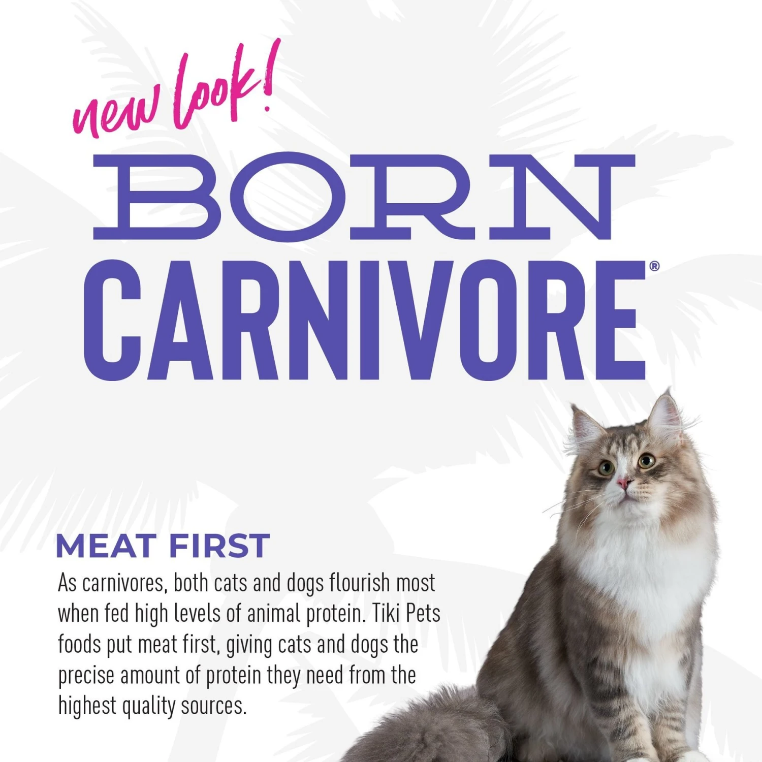 Tiki Cat Born Carnivore Light Turkey Recipe Adult Dry Cat Food, 2.8-lb Bag 8 Tiki Cat Born Carnivore Light Turkey Recipe Adult Dry Cat Food, 2.8-lb Bag - Image 6