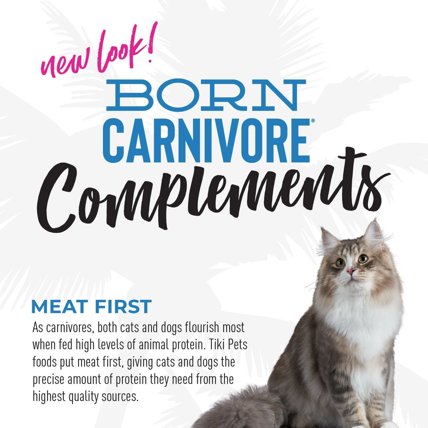 Tiki Cat Born Carnivore Complements Variety Pack Grain-Free Wet Cat Food Topper, 2.1-oz, Case Of 10 8 Tiki Cat Born Carnivore Complements Variety Pack Grain-Free Wet Cat Food Topper, 2.1-oz, Case Of 10 - Image 6