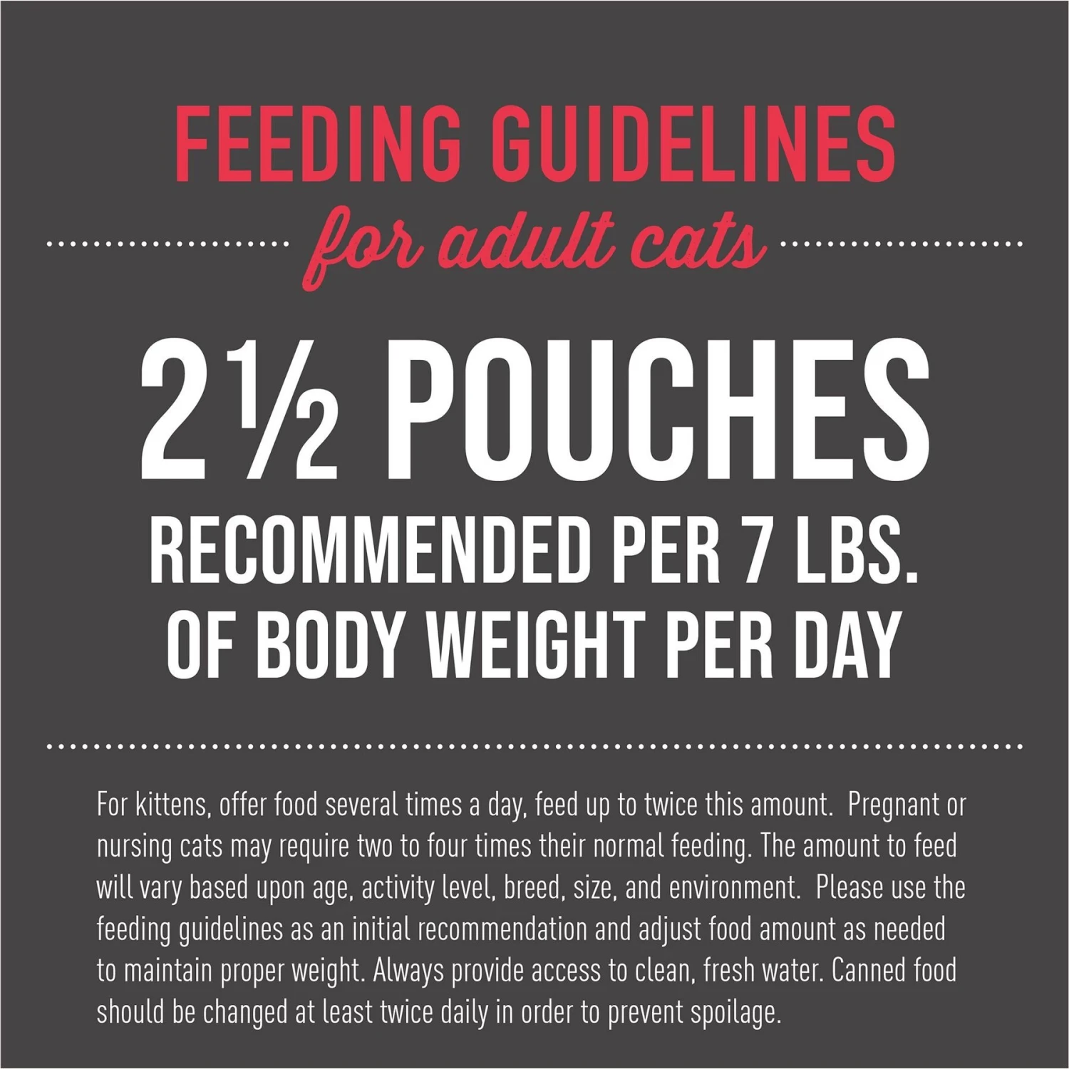 Tiki Cat Aloha Friends Chicken, Pumpkin & Beef Recipe In Broth Grain-Free Wet Cat Food 8 Tiki Cat Aloha Friends Chicken, Pumpkin & Beef Recipe In Broth Grain-Free Wet Cat Food - Image 6