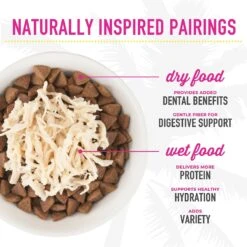 Tiki Cat Aloha Friends Chicken Variety Pack Grain-Free Wet Cat Food, 2.5-oz, Case Of 12 -Blue Buffalo Shop 259146 PT8. AC SS1800 V1650465431