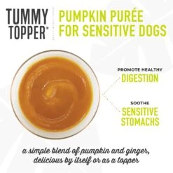 Tiki Dog Tummy Topper Pumpkin & Ginger Puree Grain-Free Wet Dog Food Topper -Blue Buffalo Shop 259168 PT3. AC SS1800 V1631199112