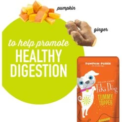 Tiki Dog Tummy Topper Pumpkin & Ginger Puree Grain-Free Wet Dog Food Topper -Blue Buffalo Shop 259168 PT4. AC SS1800 V1631198488