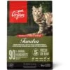 ORIJEN Tundra Grain-Free Dry Cat Food -Blue Buffalo Shop 259512 MAIN. AC SS1800 V1689607852