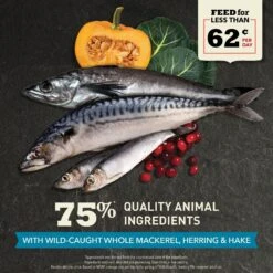 ACANA Wild Atlantic Grain-Free Dry Cat Food -Blue Buffalo Shop 259523 PT3. AC SS1800 V1690987961