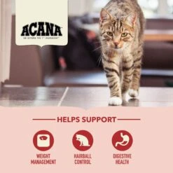 ACANA Indoor Entrée Adult Dry Cat Food -Blue Buffalo Shop 259538 PT4. AC SS1800 V1690999828
