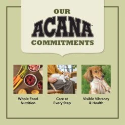 ACANA Bountiful Catch High-Protein Adult Dry Cat Food -Blue Buffalo Shop 259541 PT8. AC SS1800 V1691002878