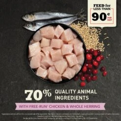 ACANA First Feast High-Protein Kitten Dry Cat Food, 4-lb Bag 14 ACANA First Feast High-Protein Kitten Dry Cat Food, 4-lb Bag -Blue Buffalo Shop 259568 PT3. AC SS1800 V1690996623