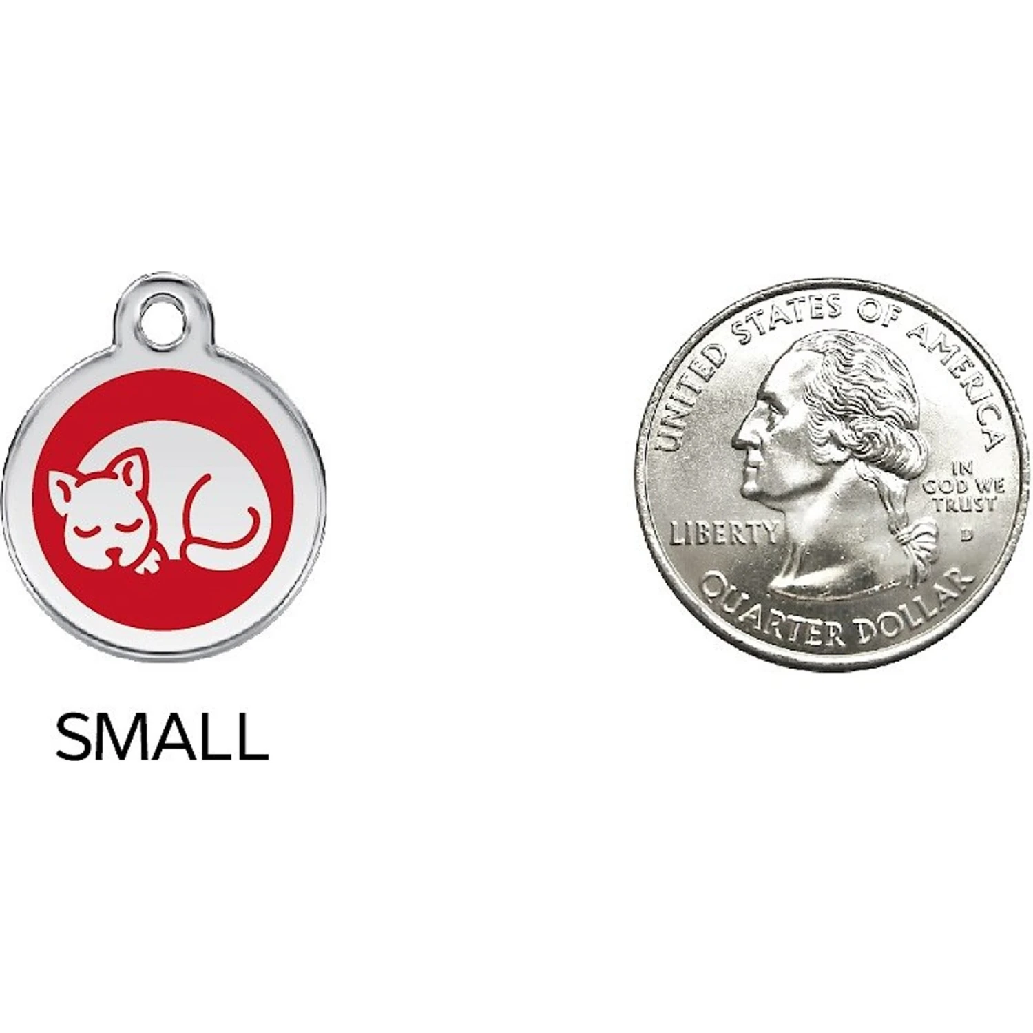 Red Dingo Kitten Personalized Stainless Steel Cat ID Tag, Small 8 Red Dingo Kitten Personalized Stainless Steel Cat ID Tag, Small - Image 6