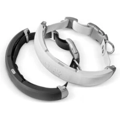 Red Dingo Mouse Personalized Stainless Steel Cat ID Tag, Small -Blue Buffalo Shop 260326 PT7. AC SS1800 V1627925769